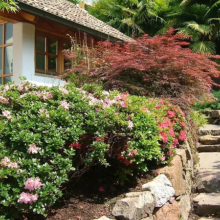 Villa Sissi Laives Exterior foto