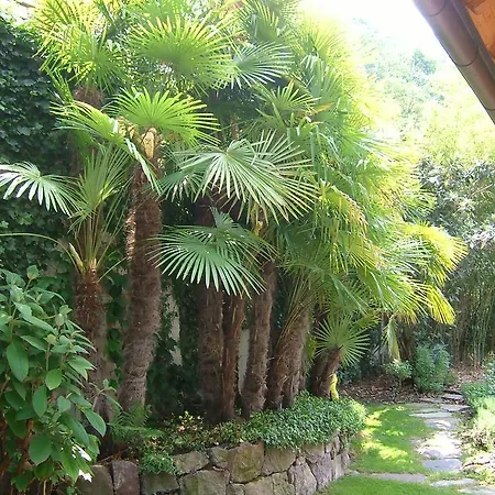 Villa Sissi Laives Exterior foto